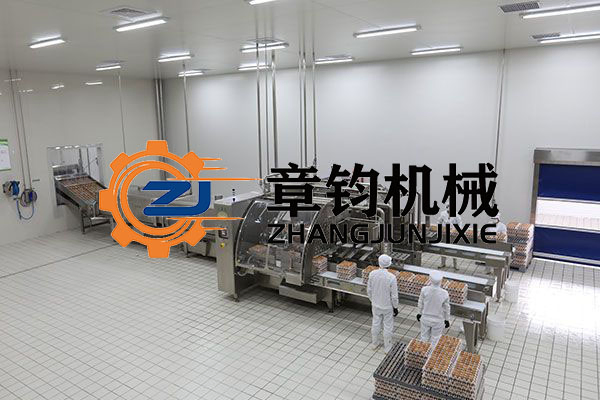 High-Efficiency Egg Liquid Processing System for Mass Production