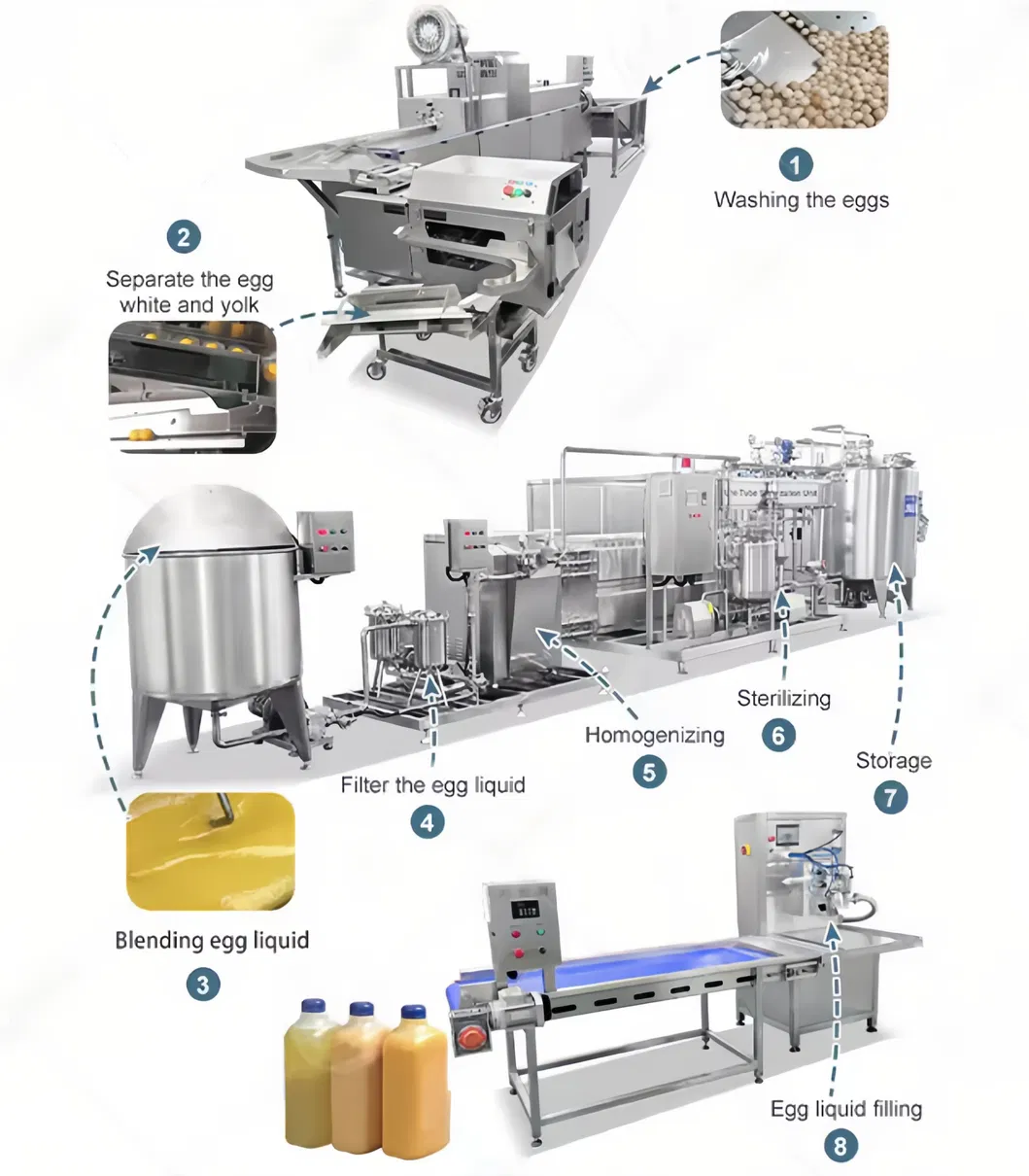 Advanced Egg Liquid Processing Equipment