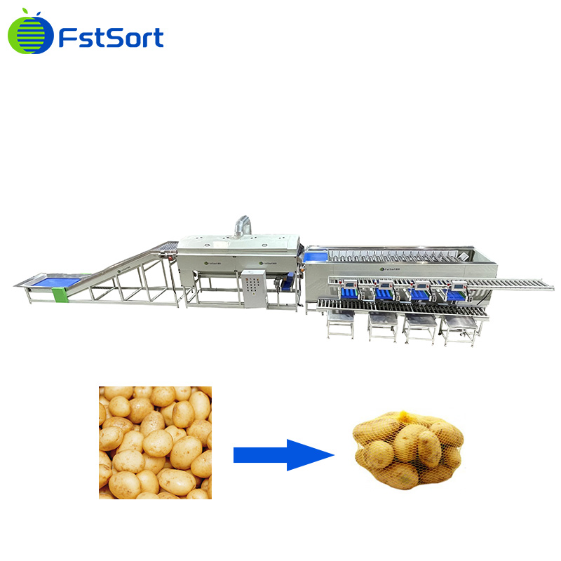 Sorting and Grading of Fruits and Vegetables, Automatic Potato Sorting and Packing System, Onion Sorting Automation
