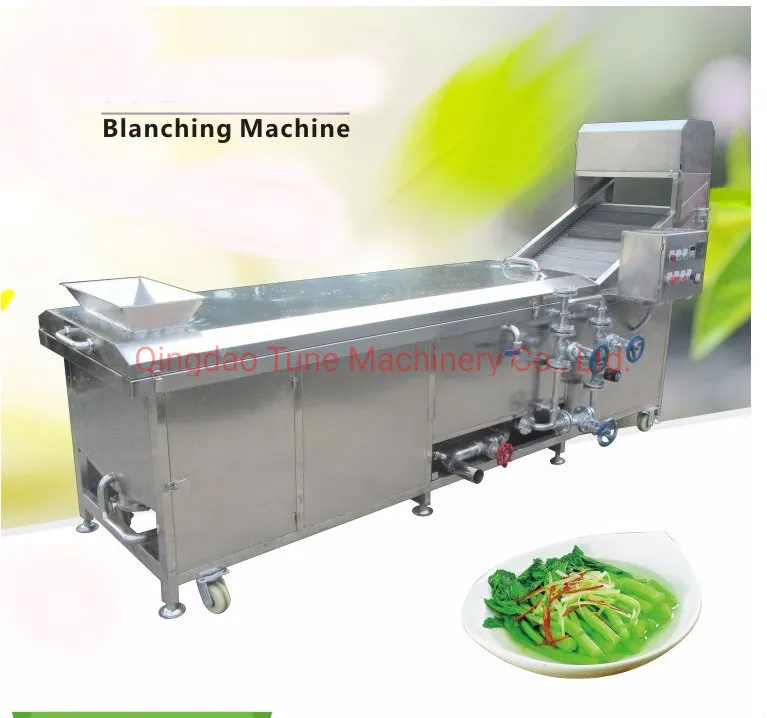 Blanching Machine Detail