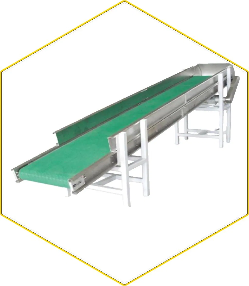 Belt Conveyer/Fruits and Vegetables Conveying System/Chain and Flight Elevator