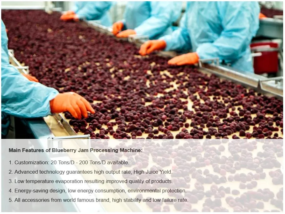 Berry Processing Line 2