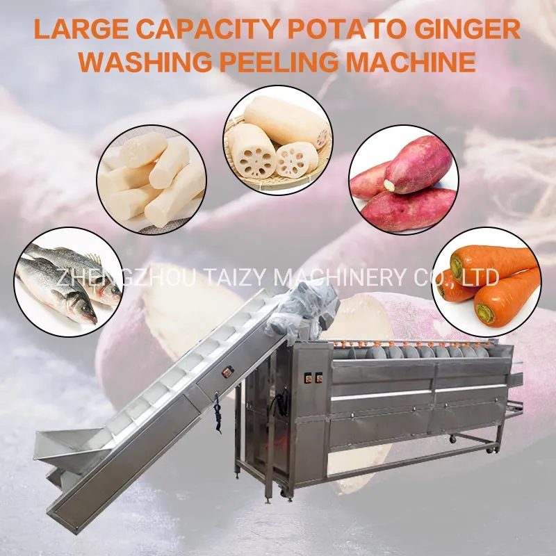 Potato washing machine description