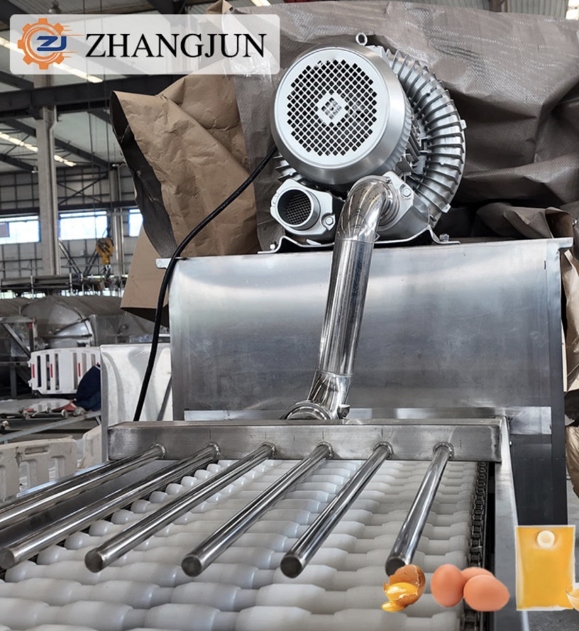 Advanced Egg Liquid Processing Equipment for Food Manufacturing