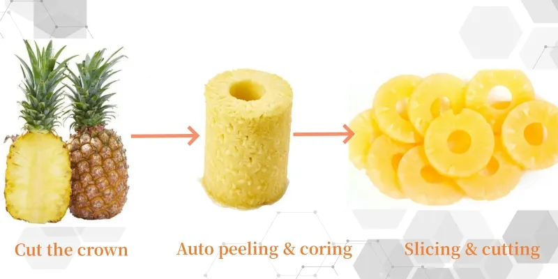 Pineapple Peeling Machine Overview