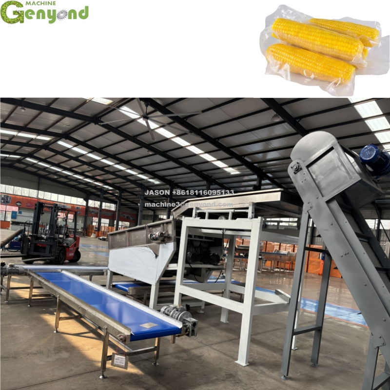 Continuous Fresh Sweet Corn Cooking Machine Sweet Corn Deep Processing Line