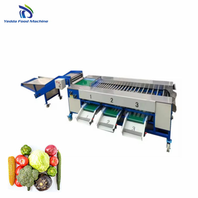 Advanced Premium Fruit Sorting and Packaging Technology System