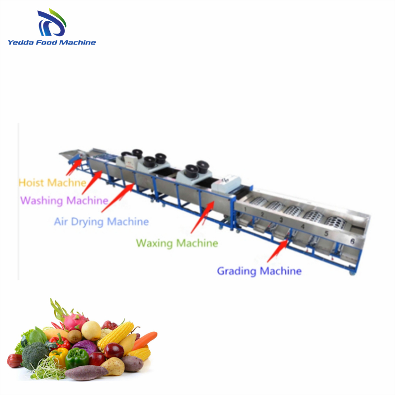Advanced Produce Grading System for Efficient Vegetable Processing