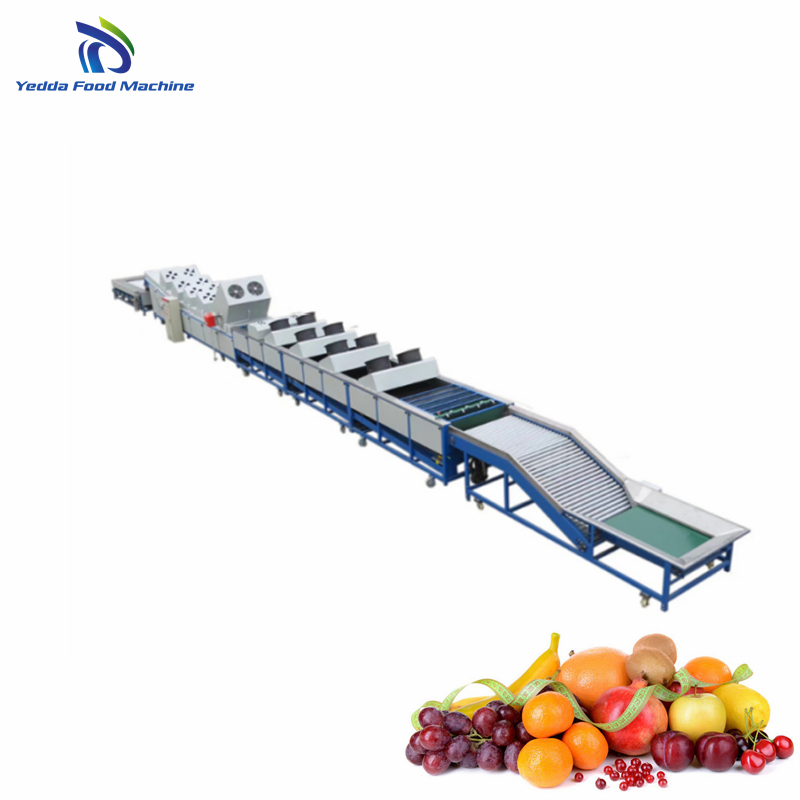 Advanced Automatic Potato and Onion Sorting System for Efficient Processing