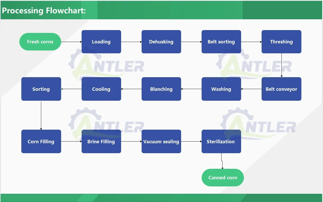 Production Line View