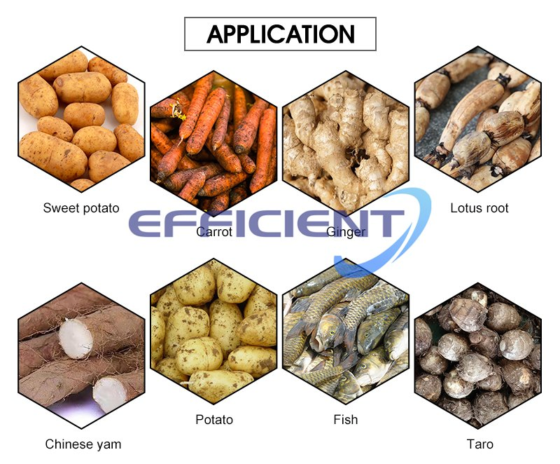 New Vegetable Automatic Sweet Cassava Cleaning Ginger Washer Potato Peeling and Washing Machine
