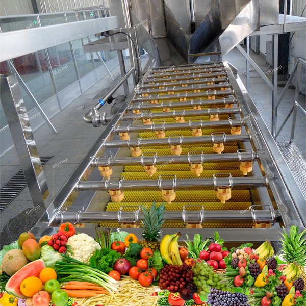 Brush Washer/Fruits and Vegetables Cleaning System