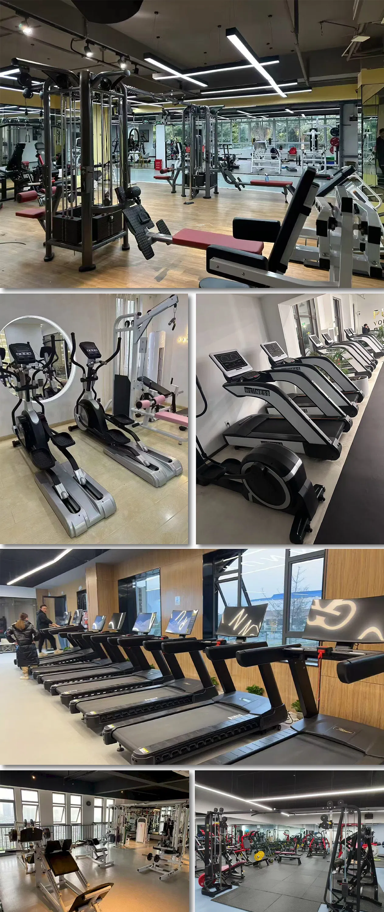Gym Equipment Details