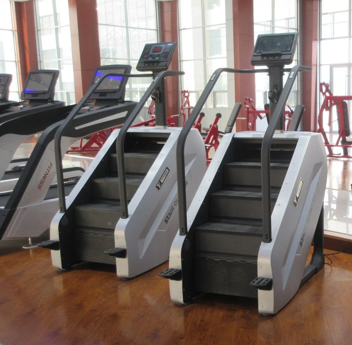 Tz-2040b Stair Climber / Stair Master for Commercial Gym Use