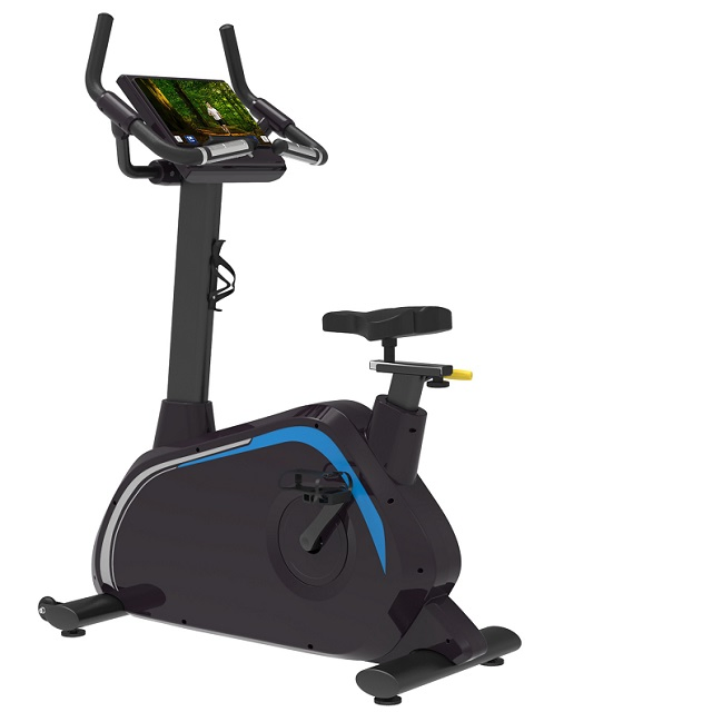 House Indoor Home Use Custom Fitness Bike Stationary Bike Upright Cycle with Factory Price