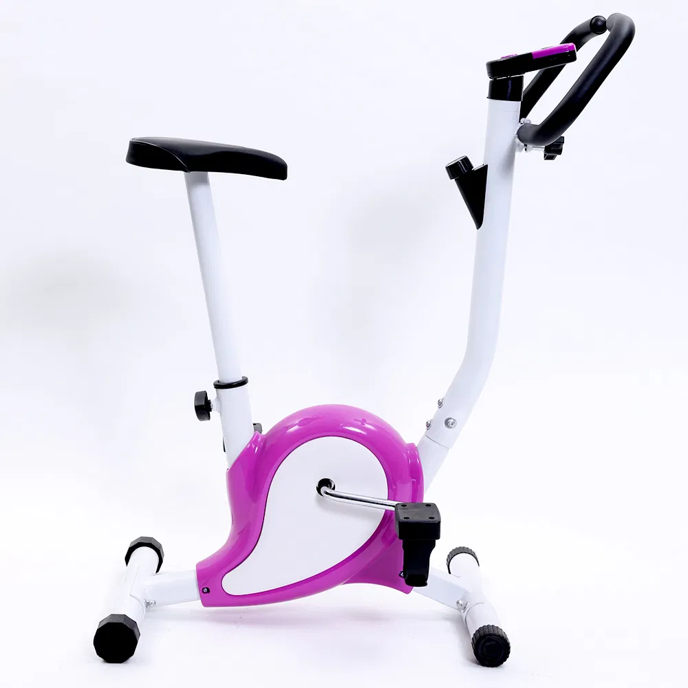 Exercise Bike Details