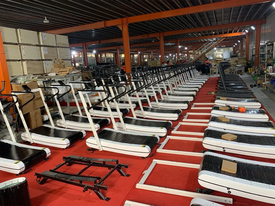 Fitness Equipment Detail 2