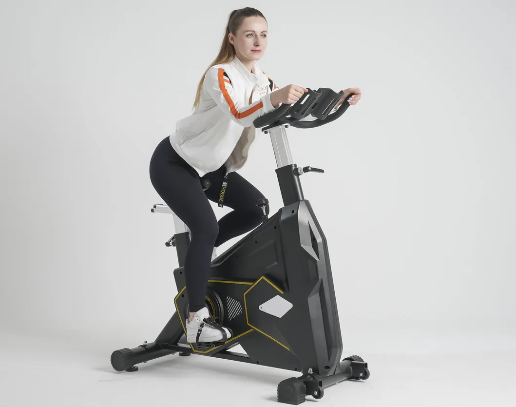 Commercial Exercise Bike