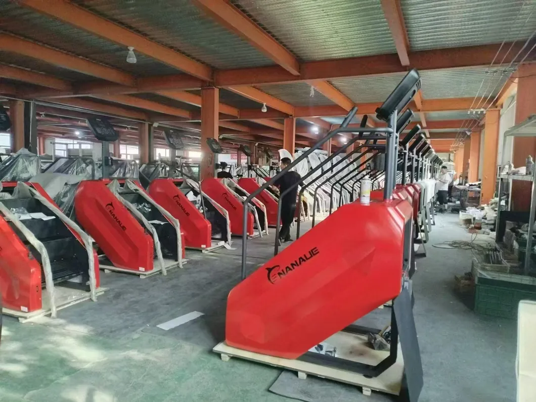 Fitness Equipment Detail 6