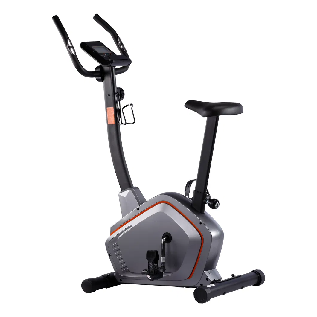 Magnetic Bike Detail