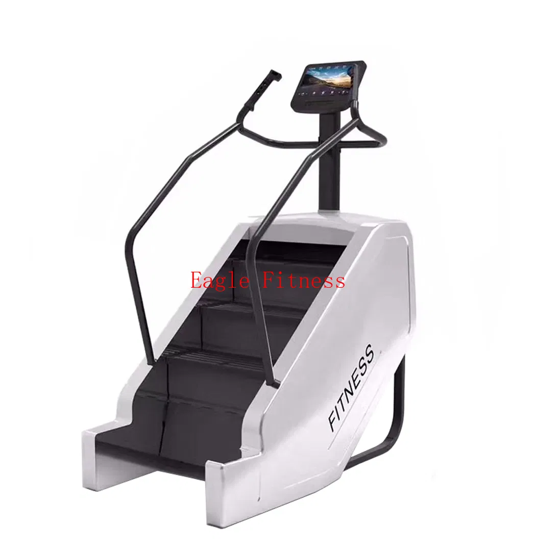 Home Stair Master Bodybuilding Gym Cardio Stair Climber Stepper Machine