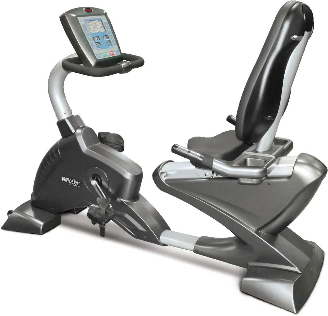 Recumbent Exercise Bike