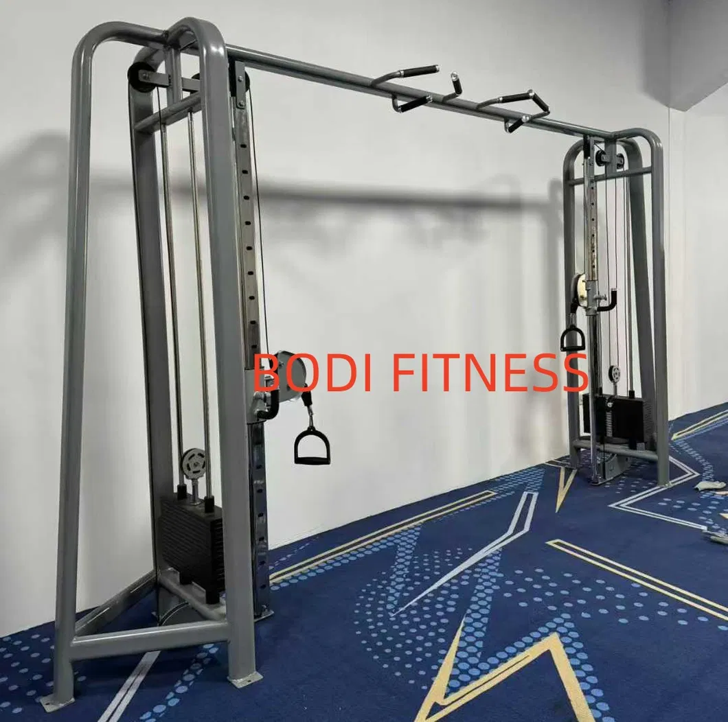 Gym Equipment Details