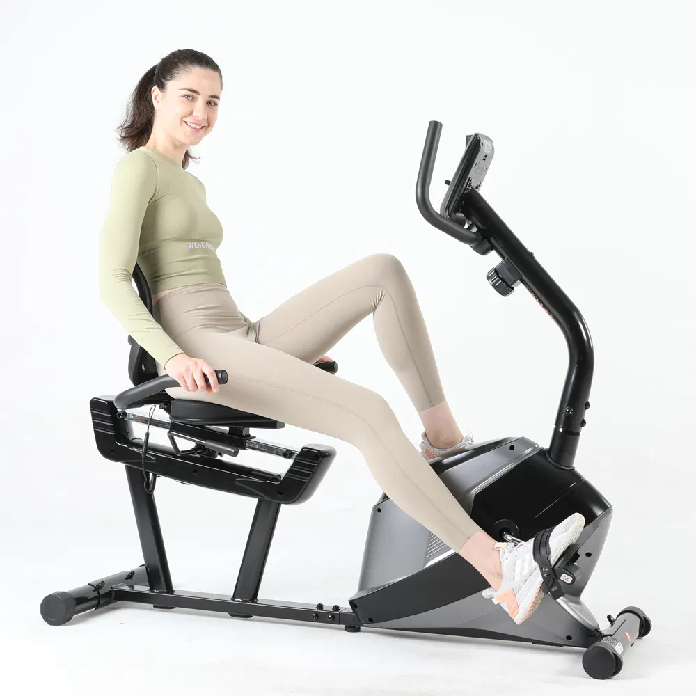Sister Sports Professional Fitness Equipment with Home Exercise Bike Magnetic Recumbent Bike
