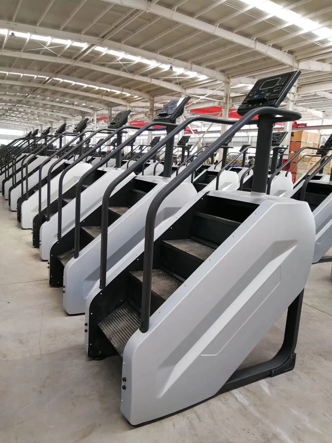 Tz-2040b Stair Climber / Stair Master for Commercial Gym Use