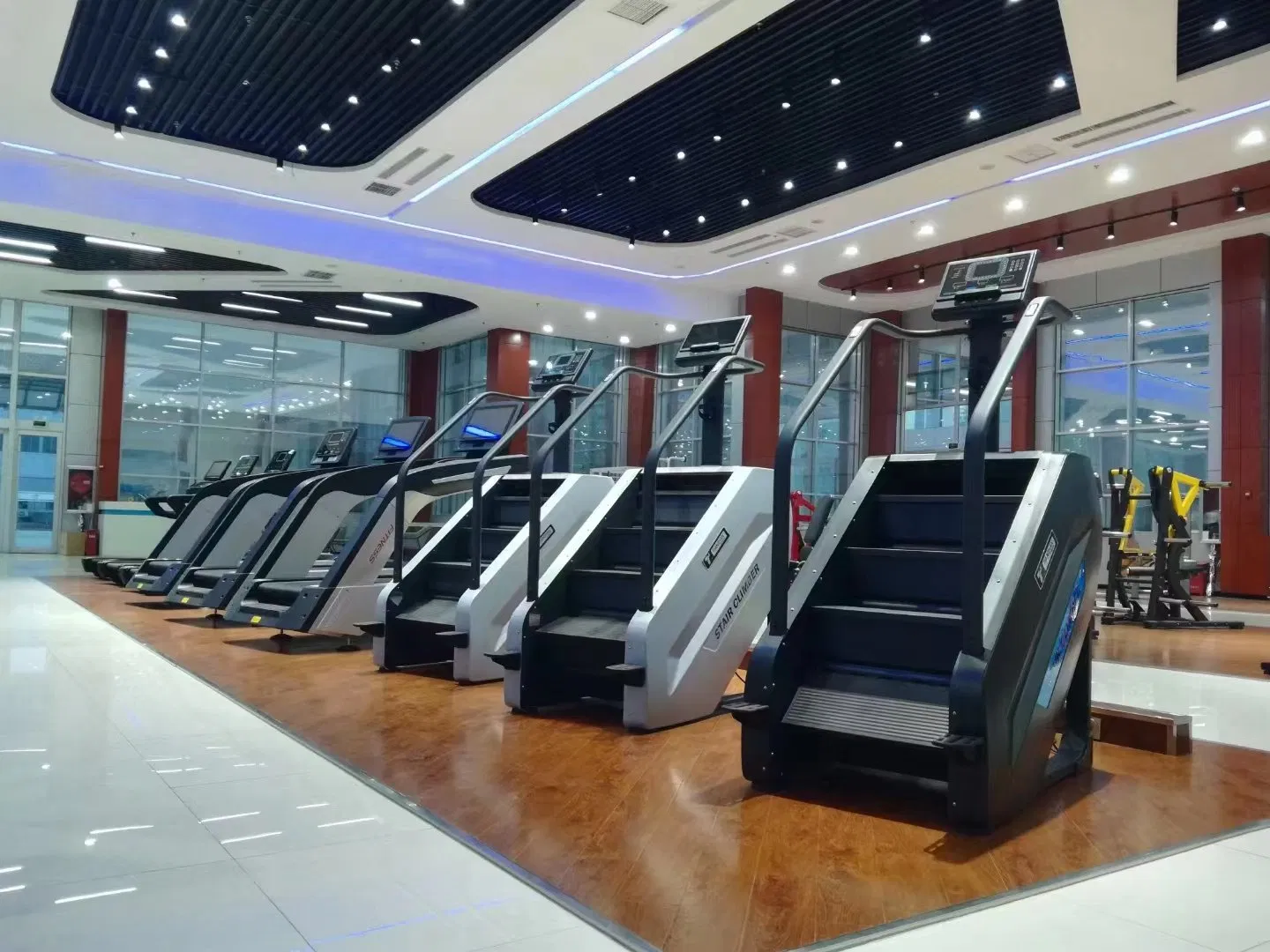 Tz-2040b Stair Climber / Stair Master for Commercial Gym Use