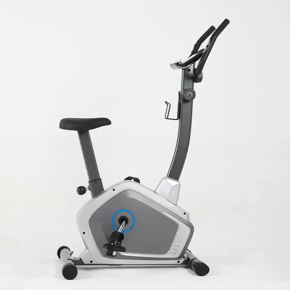 Magnetic Bike Overview