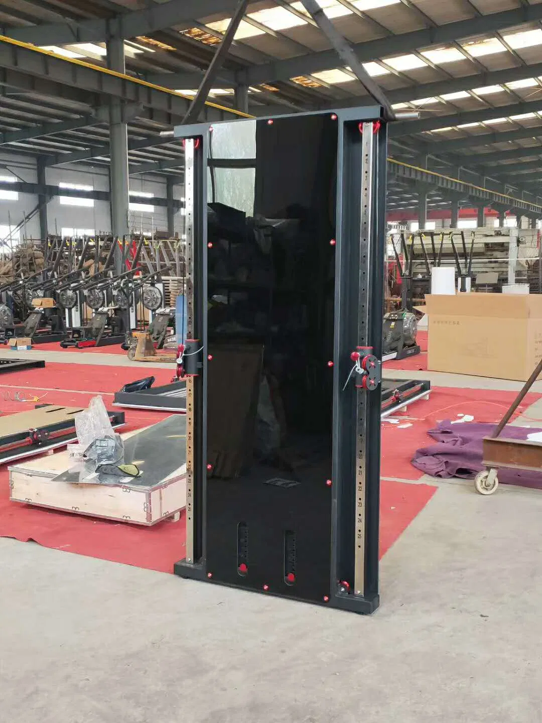 Home Gym Functional Trainer Dual Cable Fitness Training Wall Mounted Multi Fitness Rack Cable Crossover Trainer