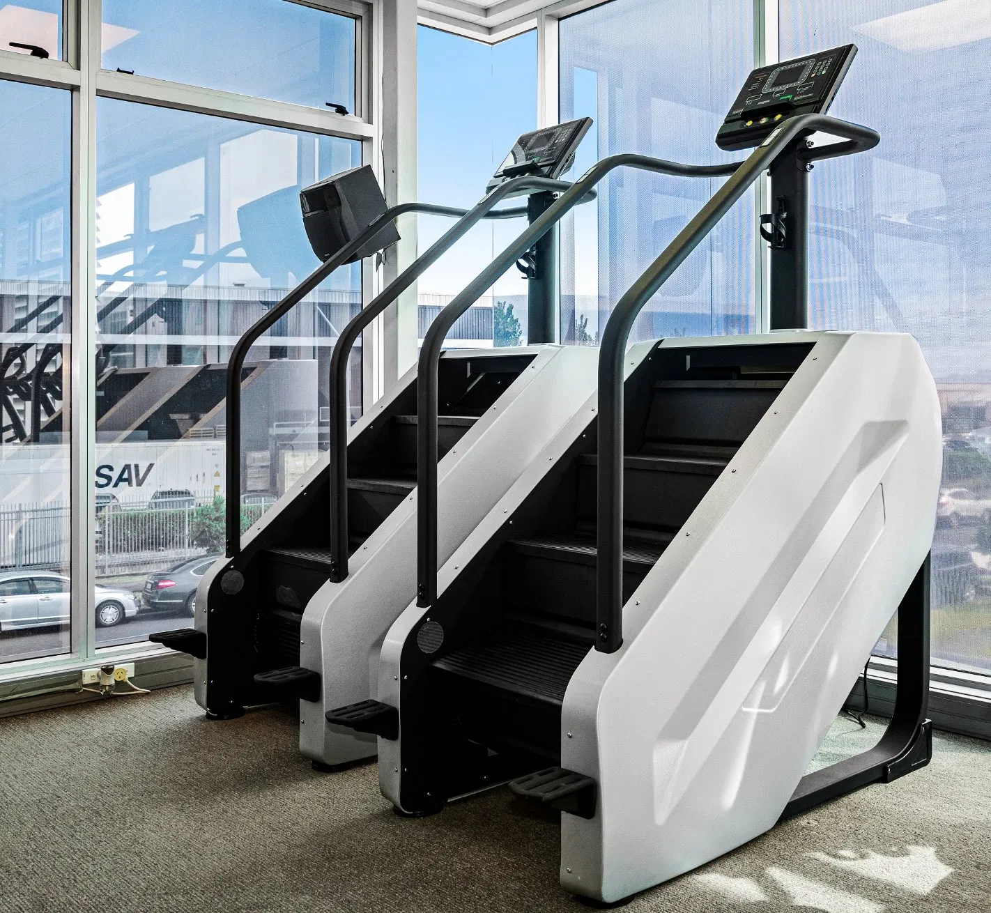 Tz-2040b Stair Climber / Stair Master for Commercial Gym Use