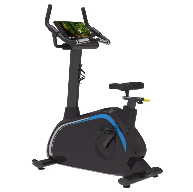 Commercial Upright Bike