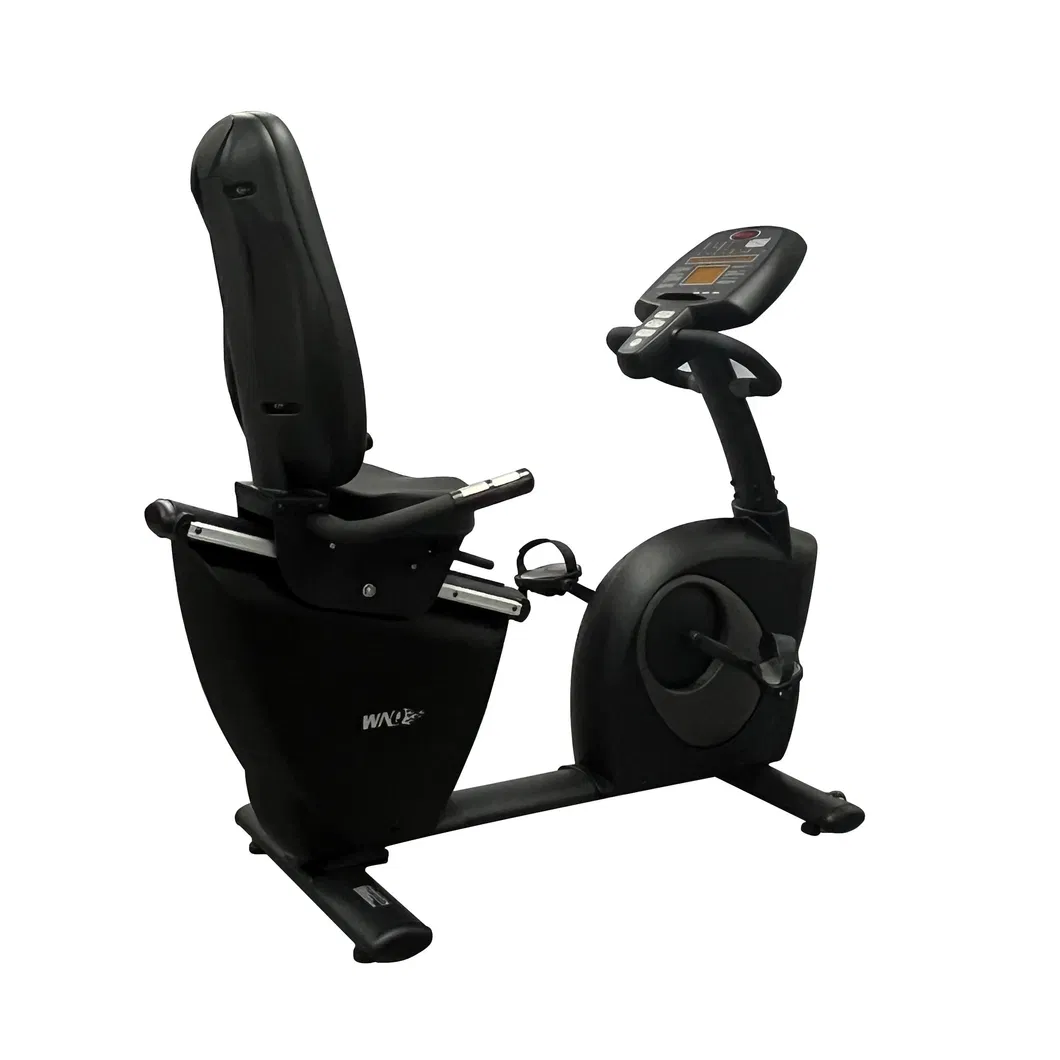Commercial Recumbent Bike