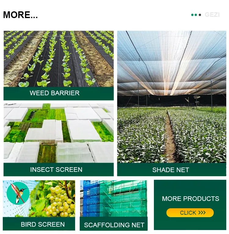 Installation Example