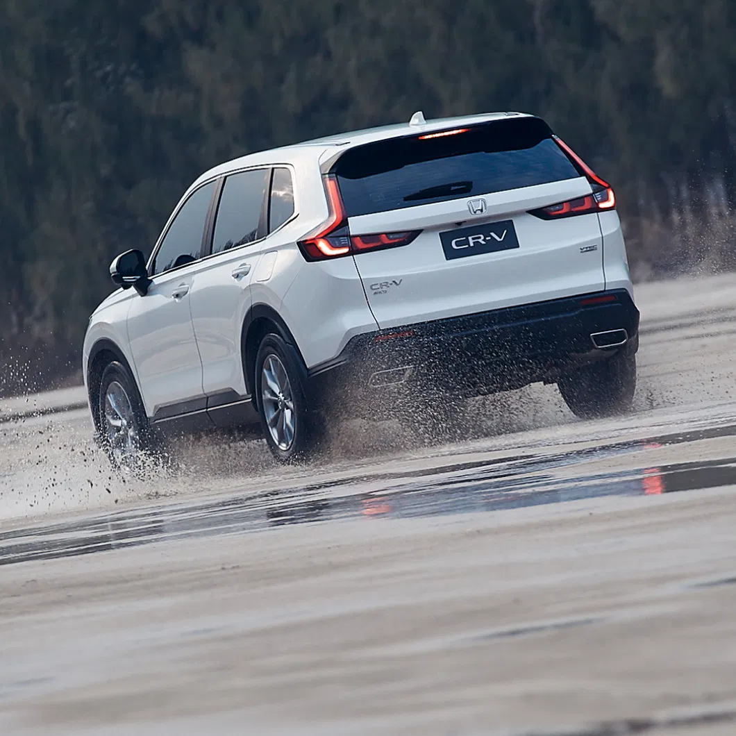 Power Tailgate System 1