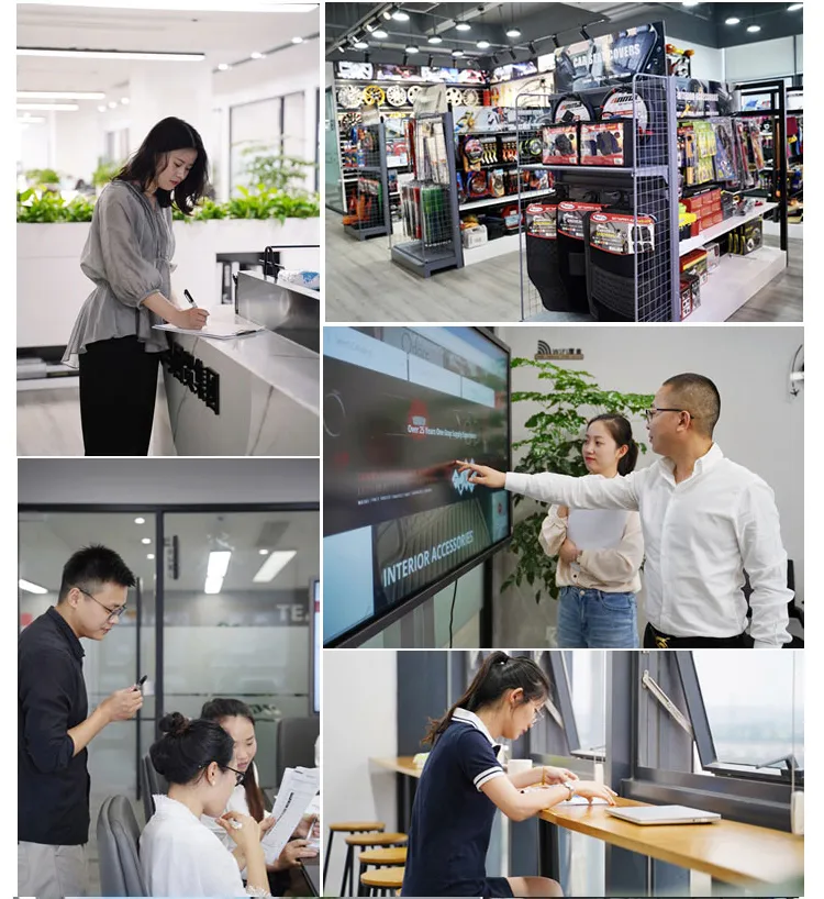 Car Seat Cover Detail 9