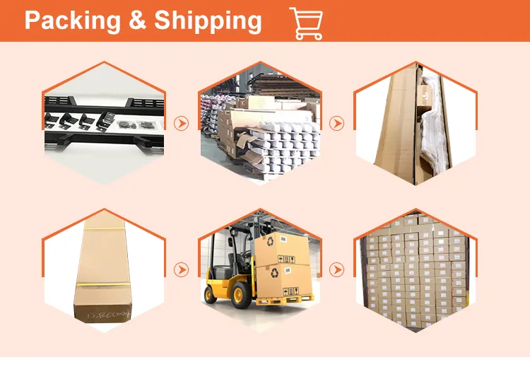 Export Standard Carton