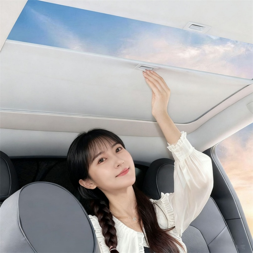 Retractable Durable New Car Sun Shade for All Seasons Use