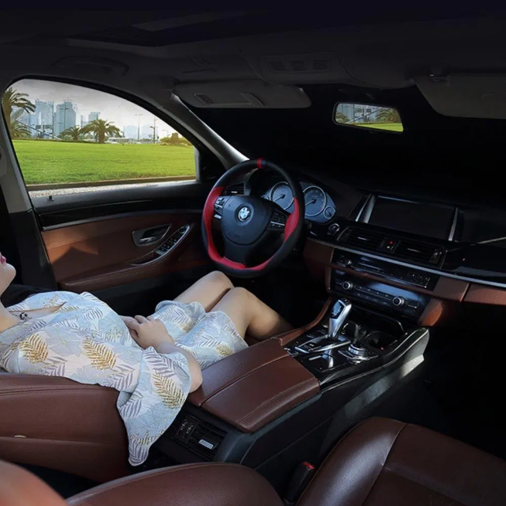 Car Sunshade Detail 7