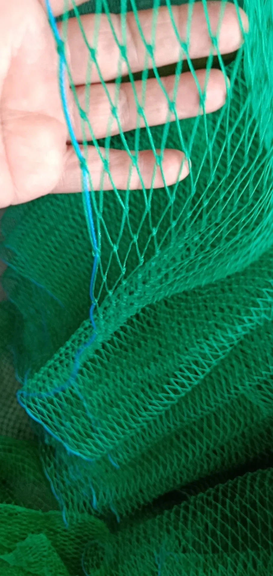 Container Chicken Aquaculture Pallet Wrap Hemp Tilapia Sports Netting Nylon Knotted Webbing Cargo PE Braided Fishing Knotless Polyethylene Net Price