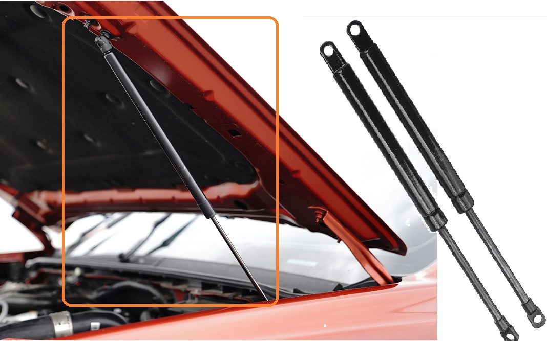 Heavy-Duty Gas Struts for Smooth Paint Assist Operation