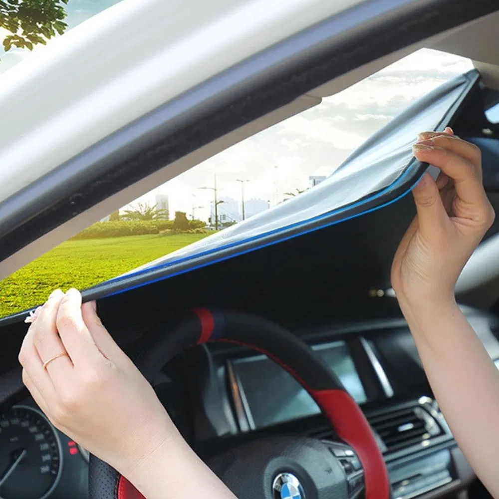 Car Sunshade Detail 8