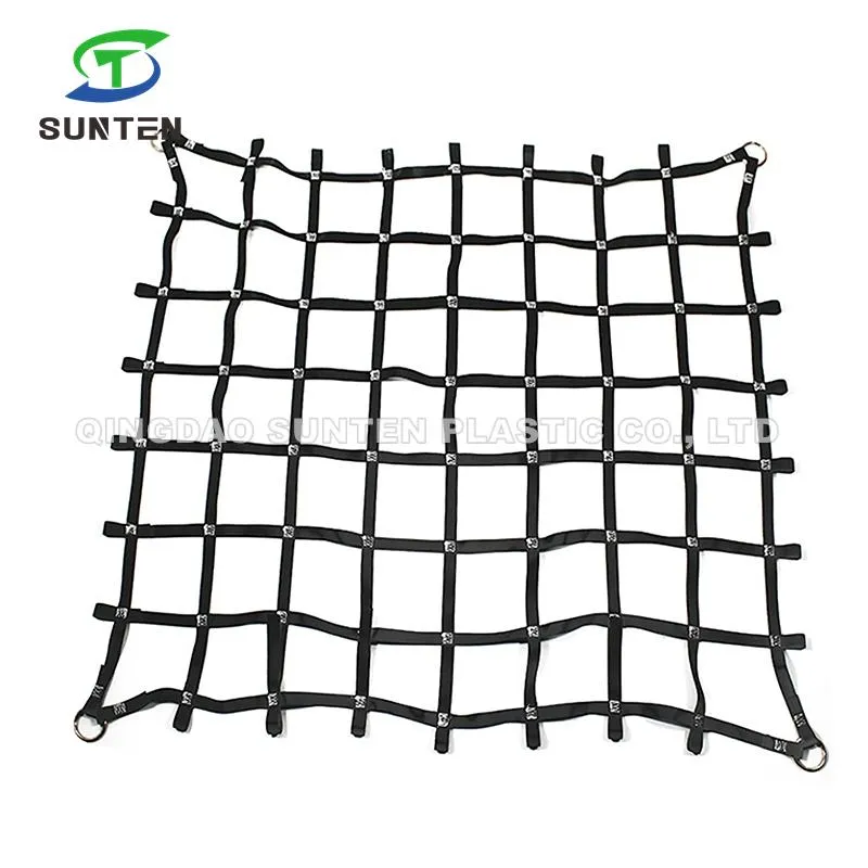 Reinforced Border Net