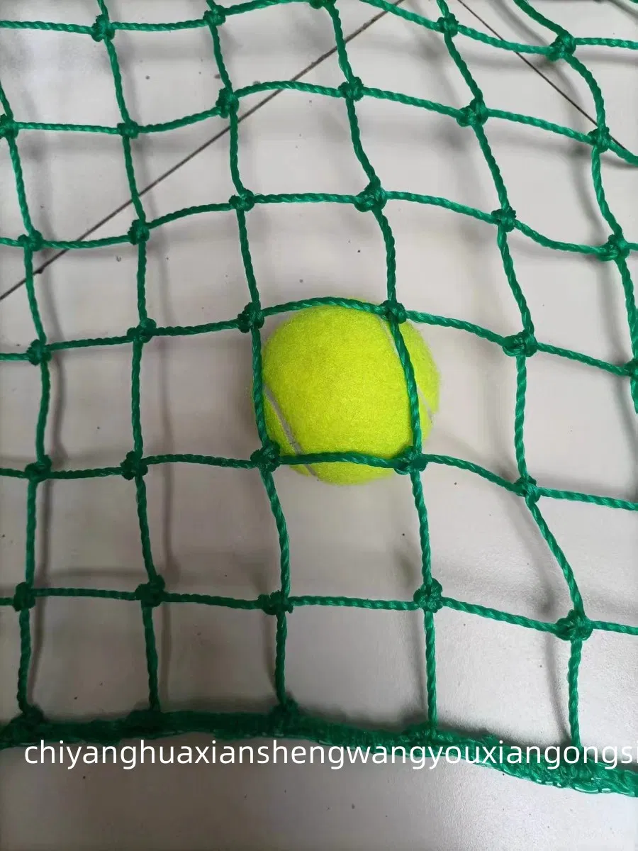 Factory Price Nylon/HDPE/Polyester/Plastic/Knotless/Knotted/Ski/Scaffolding/Building Golf Dconstruction/Drone/Fence/Trawl Cargo/Sports/Playground Safety Net