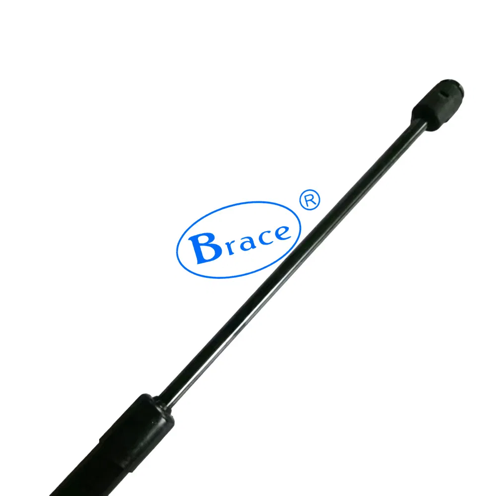 Tailgate Gas Spring for Mgzs OEM 10320209