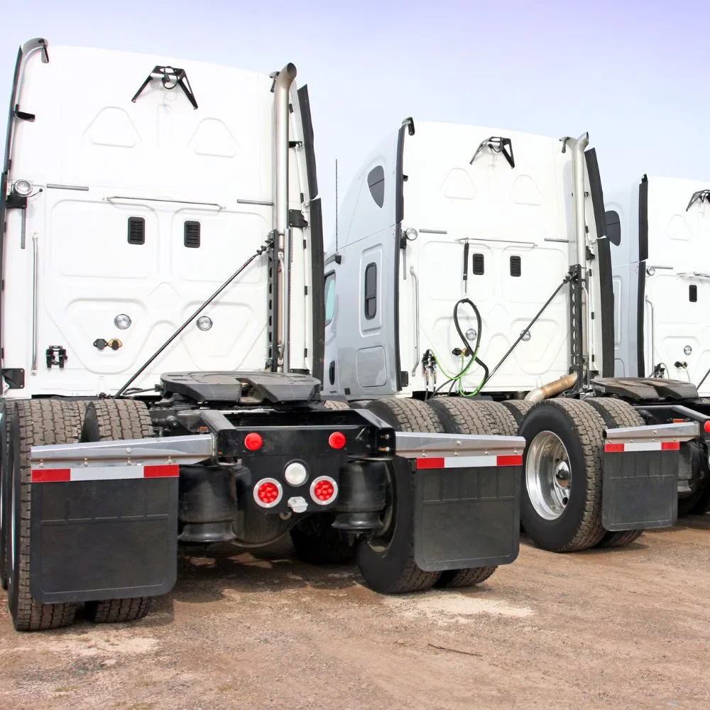 Vehicle Splash Guard