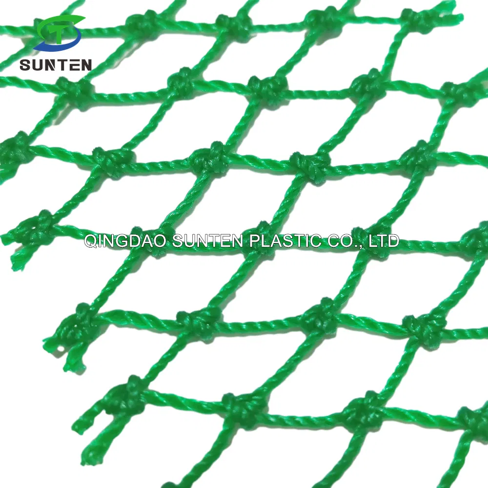 Nylon/PE/PP/Polyester/Plastic/Knotless/Knotted Scaffolding/Building/Pallet/Container/Trailer Cargo/Sports/Drone/Trampoline/Playground/Protection Safety Net