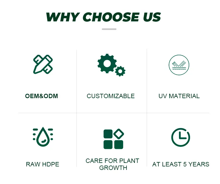 Black Cricket Cargo Net